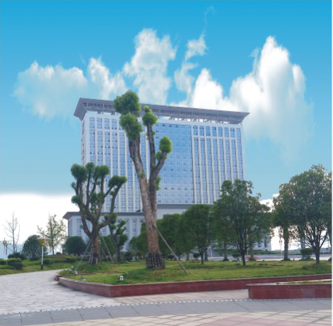 中医院已完成主体施工